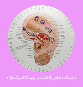 ,yoga,یوگا,یوگا کرج,یوگا استان البرز,کلاس یوگا,مرکز تخصصی یوگا,باشگاه نمونه یوگا,رفلکسولوژی,بازتاب درمانی,بازتاب شناسی,درمانهای شفابخض,طب کل نگر,درمانهای نامتعارف,باشگاه تخصصی یوگا پرنده آزاد کرج, ,yoga,یوگا,یوگا کرج,یوگا استان البرز,کلاس یوگا,مرکز تخصصی یوگا,باشگاه نمونه یوگا,رفلکسولوژی,بازتاب درمانی,بازتاب شناسی,درمانهای شفابخض,طب کل نگر,درمانهای نامتعارف,باشگاه تخصصی یوگا پرنده آزاد کرج,